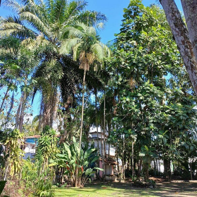 Villa Dos Passaros Paraty Hospedagem المظهر الخارجي الصورة